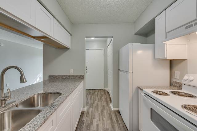 1-bedroom apartment at ROCHELLE PLACE Apartments in Irving, TX