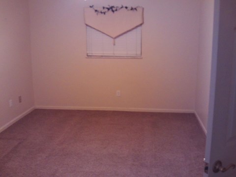 A room with a carpet and a picture hanging on the wall.