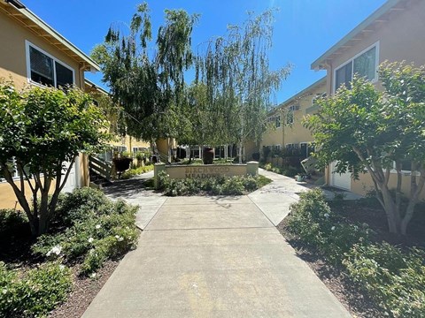 A sunny day at the residential area with a clear blue sky.