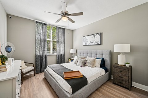 A bedroom with a large bed, a ceiling fan, and a nightstand with a lamp.