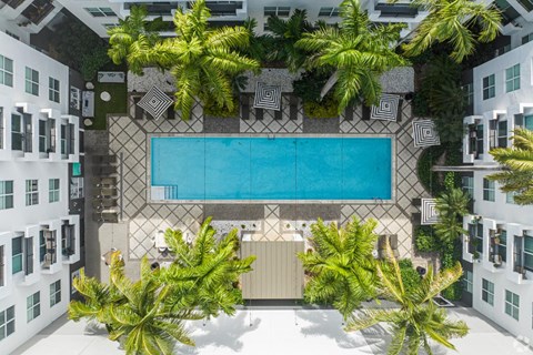 A swimming pool surrounded by palm trees and white buildings.