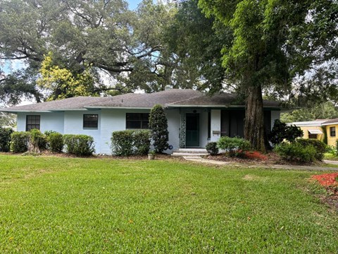 A blue house with a green door and a tree in front.