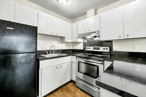 A black refrigerator sits next to a sink in a kitchen with white cabinets.