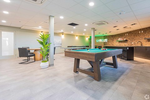 A room with a pool table and a plant.