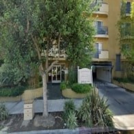 A tree in front of a building with a sign.