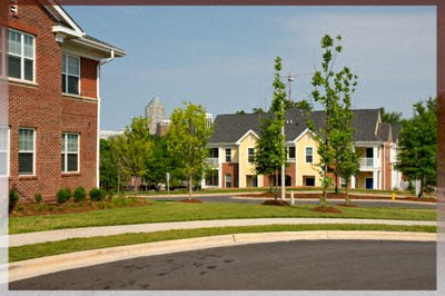 A tree stands in front of a building with a grassy area in front of it.