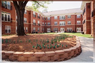 A tree in a flower bed in front of a brick building.
