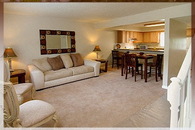 A living room with a couch, chair, and a mirror on the wall.