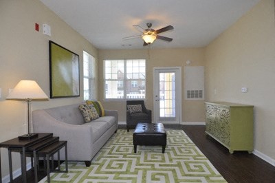 A living room with a grey couch, a black coffee table, a green side table and a green rug.