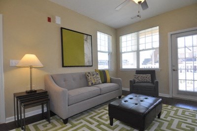 A living room with a grey couch, a black ottoman, and a green and white rug.