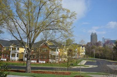 A tree with yellow leaves stands in front of a row of houses.