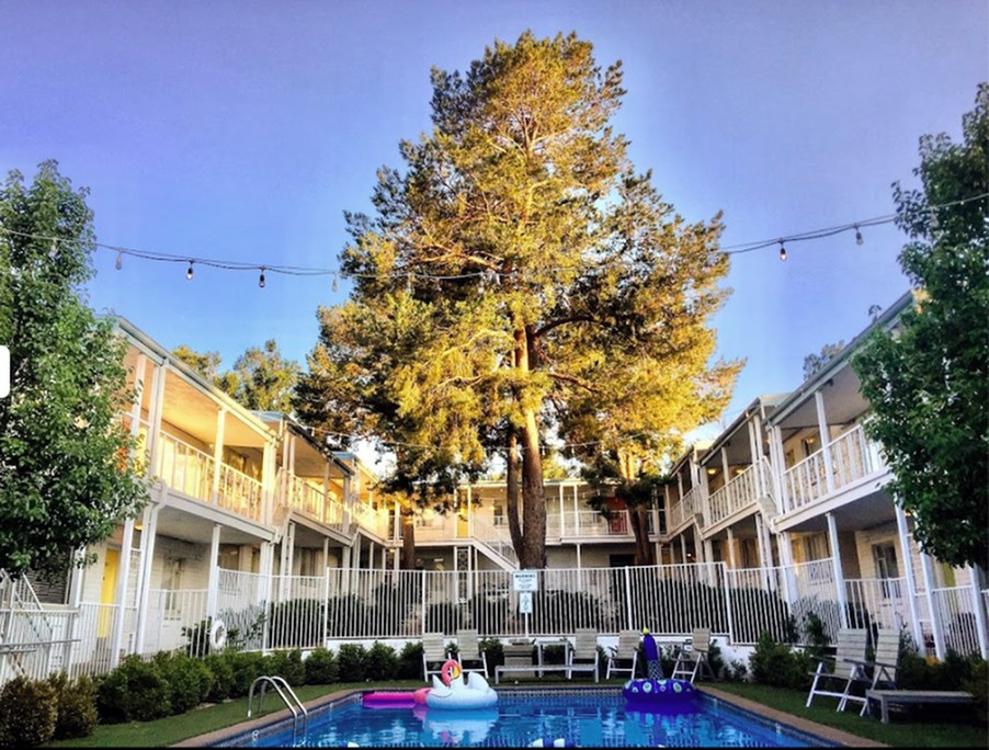 A large tree stands in front of a building with a pool in the foreground.