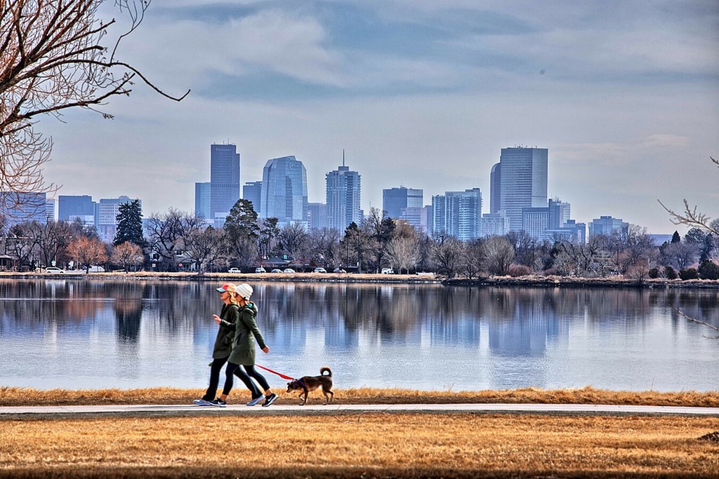 A woman walking her dog in a park with a city skyline in the background.