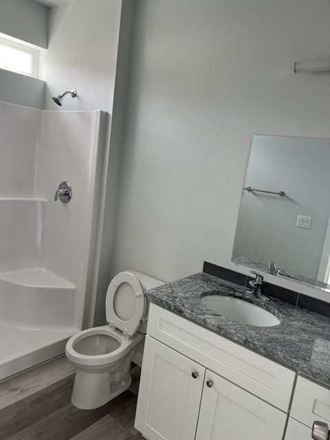 A white toilet sits next to a sink in a bathroom.