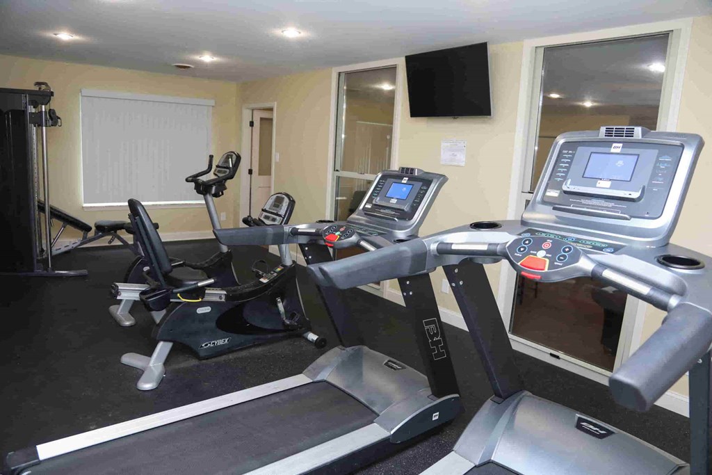 A gym with treadmills and elliptical machines.