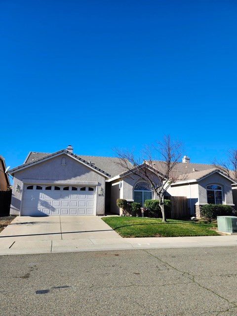 A house with a grey garage door and a white tree in front.