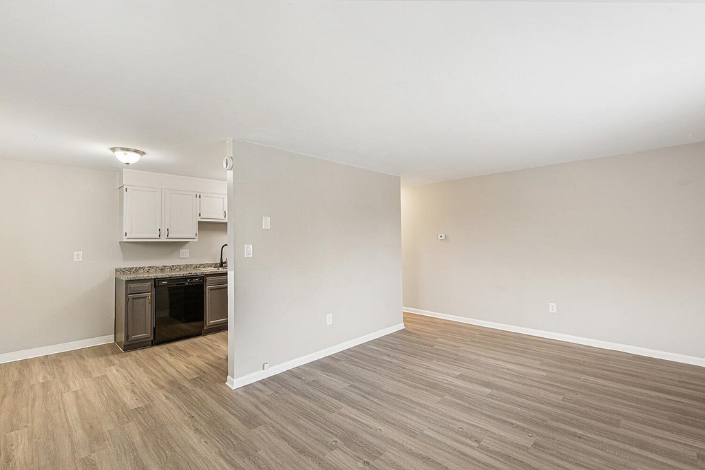 A kitchen area with a counter and cabinets.