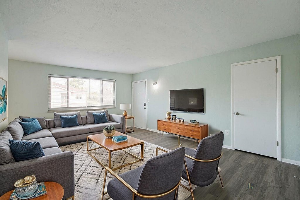 A living room with a grey couch, a coffee table, and a television.