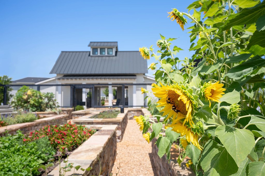 A house with a garden in front of it.