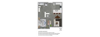 1 Bedroom Apartment