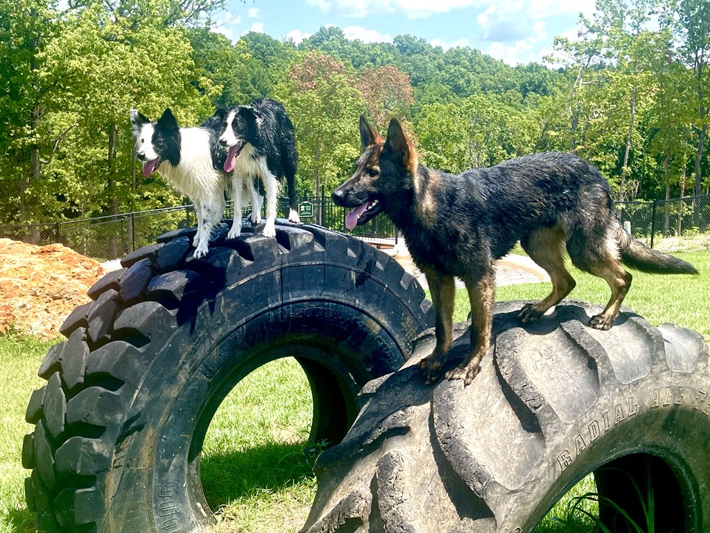 A large rock sits in the middle of a grassy area with a pond and houses in the background.