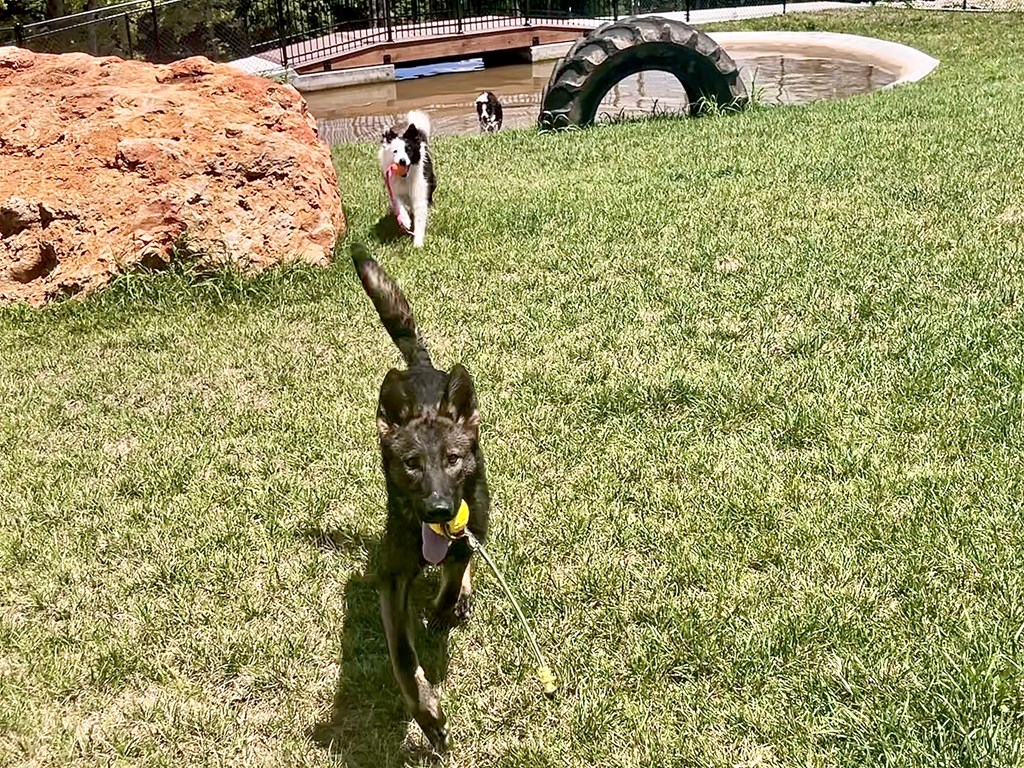 A playground area with a slide and a playhouse.