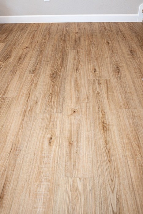 Source URL: https://medialibrarycf.entrata.com/100416/MLv3/3/27/2024/06/08/031654/6664ca4624ef49.76874689381.jpg