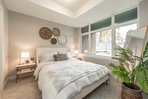 A bedroom with a large bed, a potted plant, and a wall decorated with circular plates.