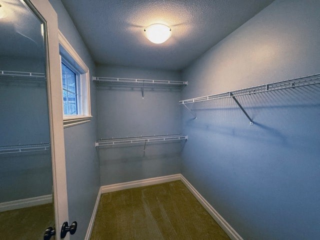 A small, empty room with a door and a window.