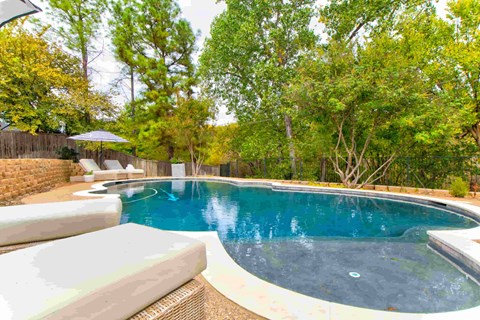 A small pool surrounded by trees and a fence.