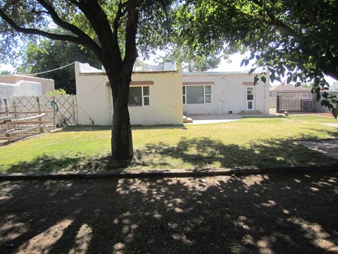 A tree in a yard in front of a house.