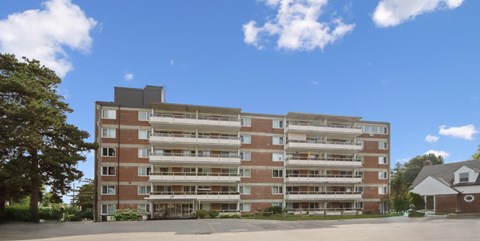 807 A & B Frederick Street Studio-3 Beds Apartment for Rent