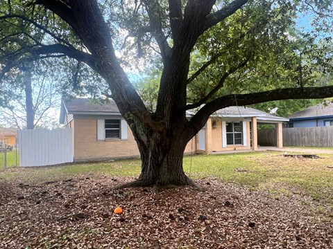 A tree in a yard with a house in the background.