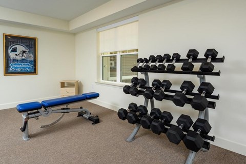 A room with a bench, dumbbells, and a picture on the wall.