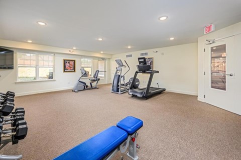 A gym with a bench, weights, and exercise equipment.