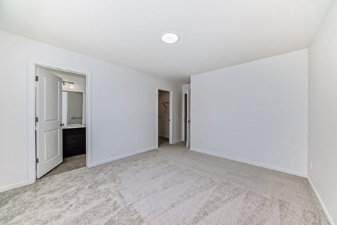 A white room with a carpet and a ceiling light.