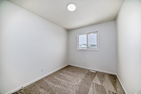 A room with a carpeted floor and a window.
