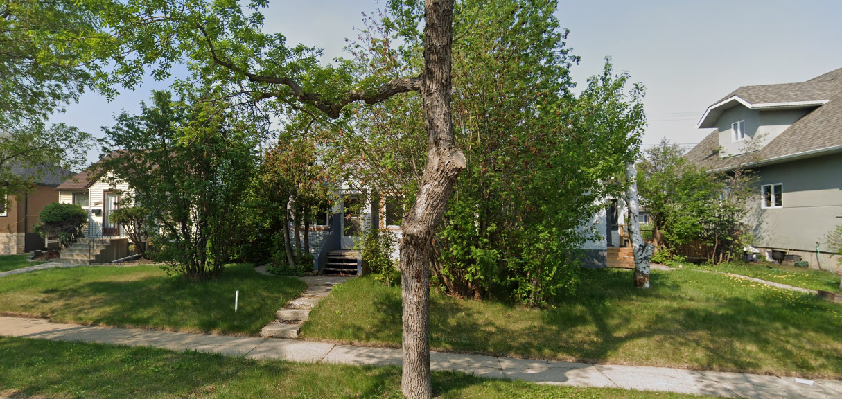 A tree in a grassy area with a house in the background.