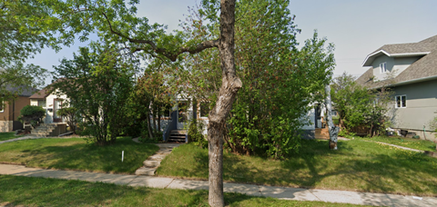 A tree in a grassy area with a house in the background.