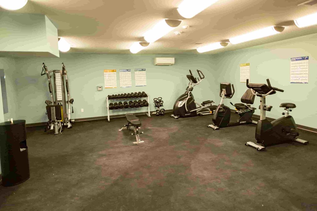 A gym with a variety of exercise equipment including treadmills, stationary bikes, and weight machines.