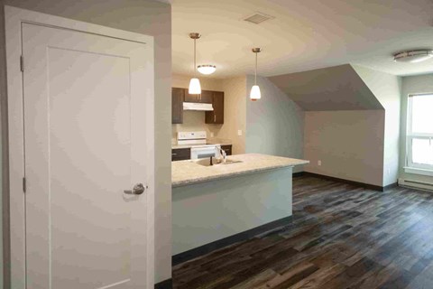 A kitchen with a white door and a counter.