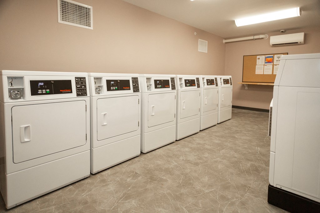 A row of white washing machines in a laundry room.