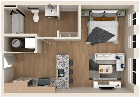 301 Dickenson Street Studio-2 Beds Apartment, Conventional, Conventional, Conventional, Conventional, Conventional, Conventional for Rent - Photo Gallery 18