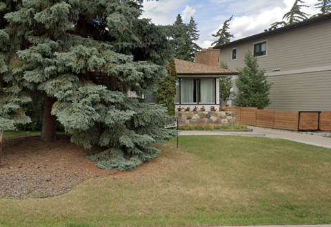 A tree in a yard in front of a house.