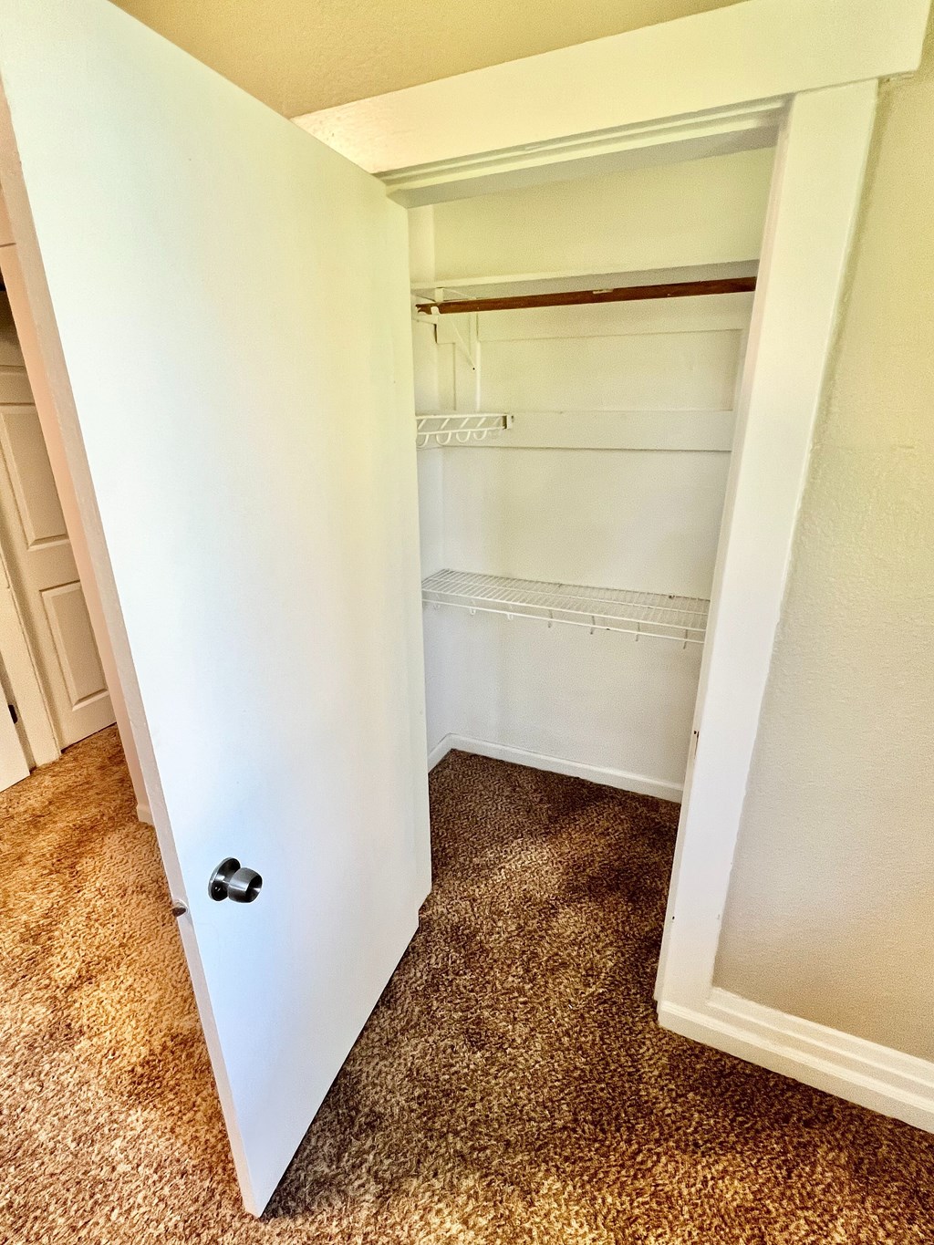 A white closet with a carpeted floor and a white door.
