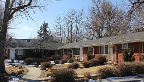 A row of houses with bare trees in front.