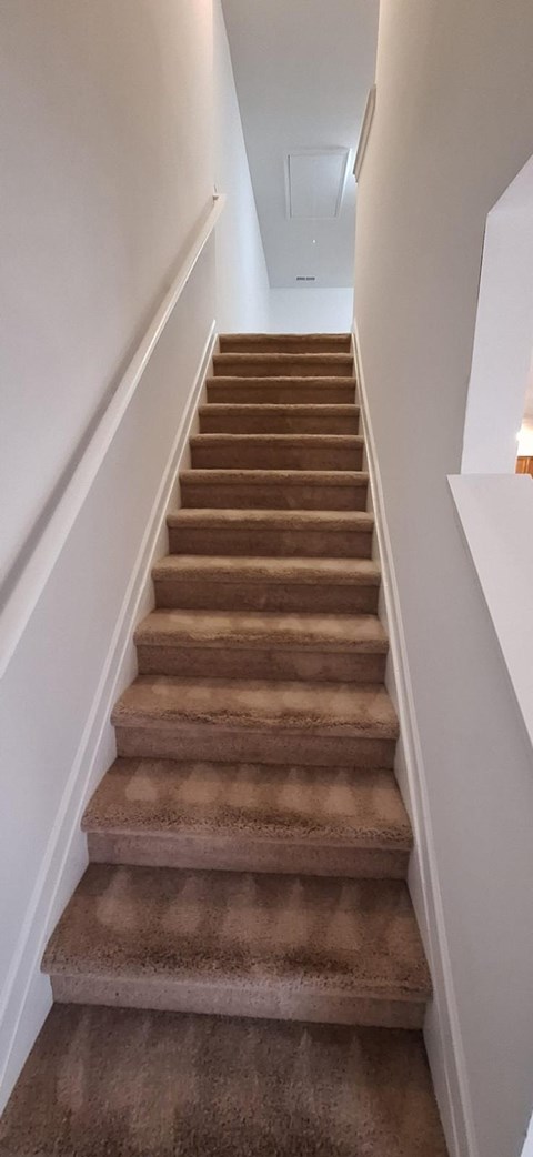 A brown carpeted staircase with white walls.
