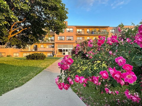 A building with a tree and a flower bed in front of it.