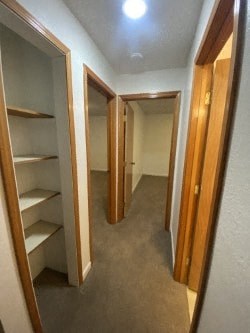 A hallway with a series of open doors and shelves.