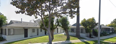 A tree in front of a house.